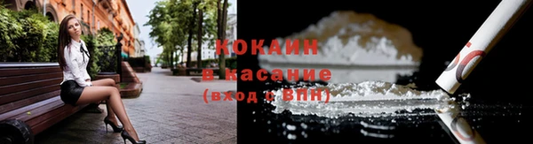 прущие грибы Ветлуга