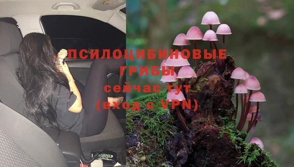 винт Покров