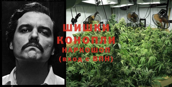 ПСИЛОЦИБИНОВЫЕ ГРИБЫ Покачи