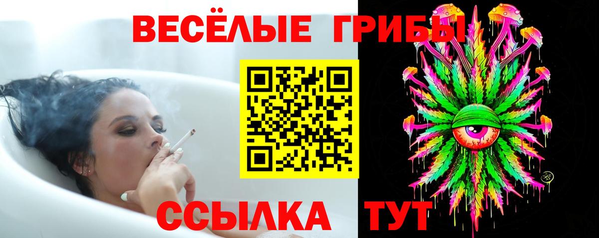 Таганрог  Галлюциногенные грибы MAGIC MUSHROOMS  Галлюциногенные грибы Magic Shrooms  Вход с VPN 
