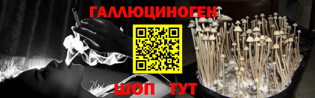 Псилоцибиновые грибы прущие грибы Таганрог